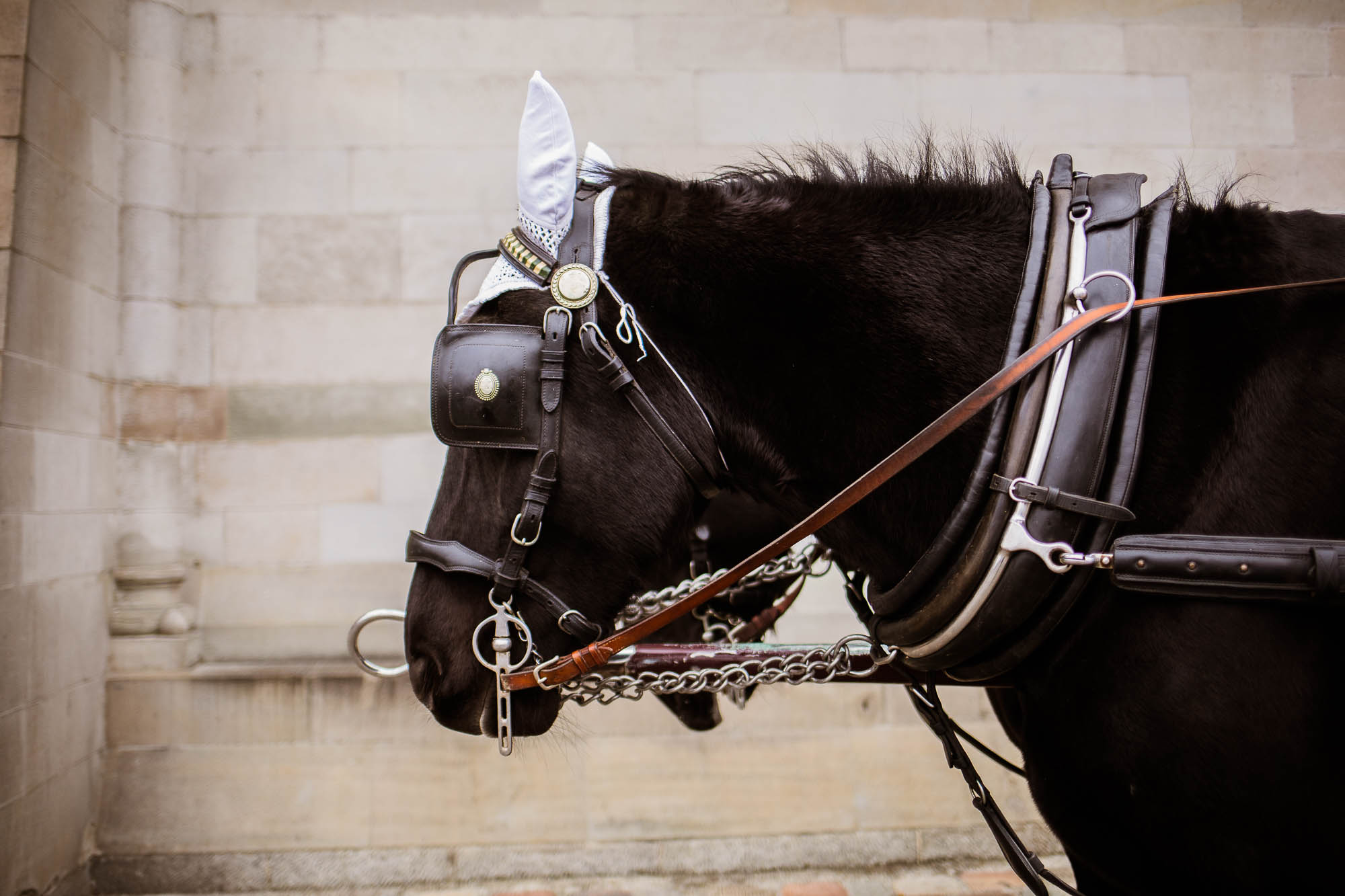 Export x3 5D4 0295 Hochzeit 2020 Andrea & Joel